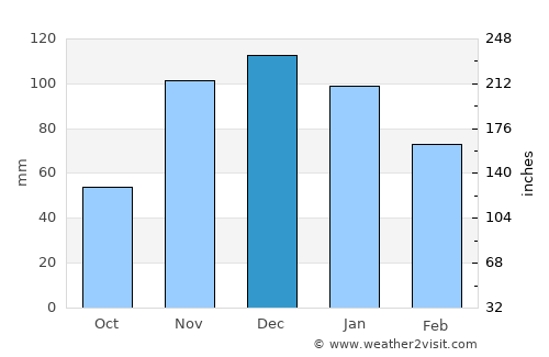 Fruitvale average rain in December