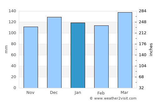Gainesboro average rain in January