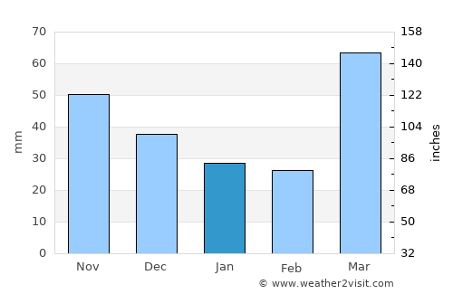 Gallatin average rain in January