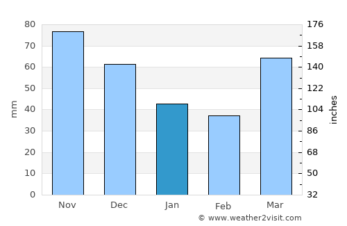 Gary average rain in January