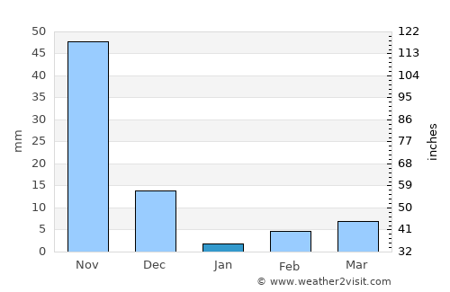 Gauribidanūr average rain in January