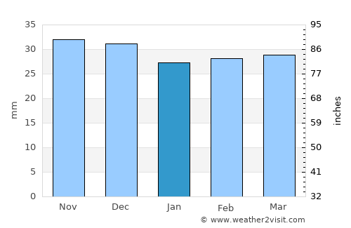 George Enescu average rain in January