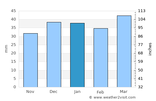 Georgetown average rain in January