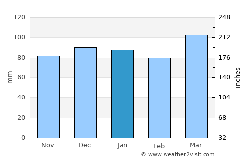 Georgetown average rain in January