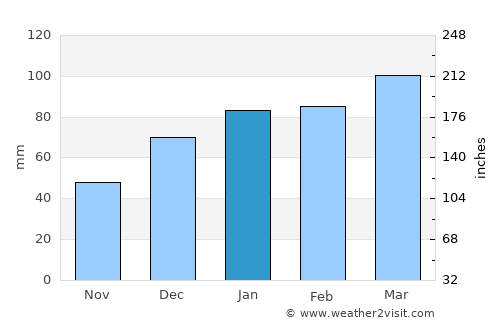 Georgetown average rain in January