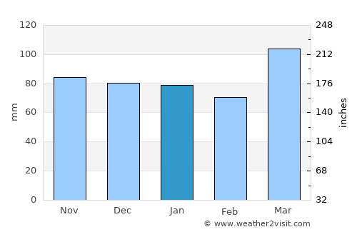Georgetown average rain in January