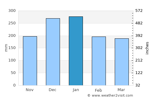 Goiatuba average rain in January