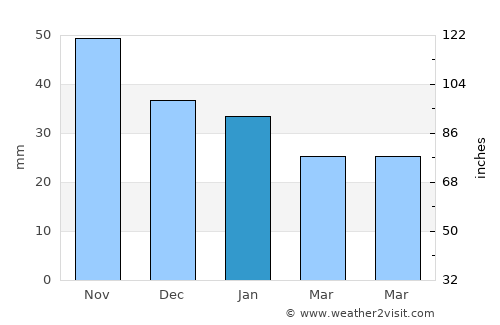 Gorodets average rain in January