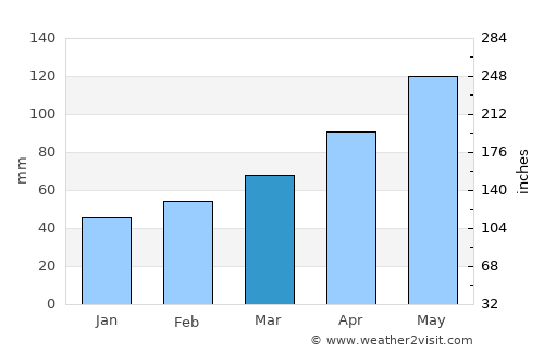 Grapevine average rain in March