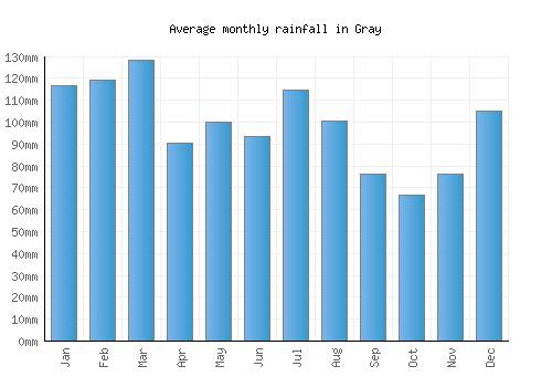 Gray monthly rainfall chart (mm)