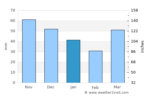 Grayling average rain in January