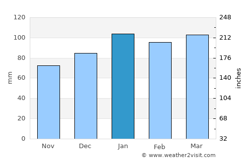 Greenville average rain in January