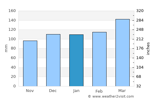 Greenville average rain in January