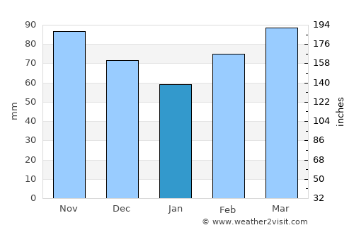 Greenville average rain in January