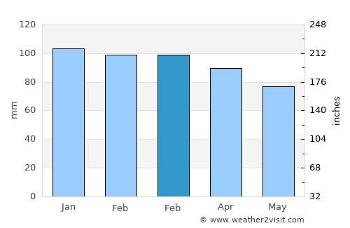 Grubine average rain in February
