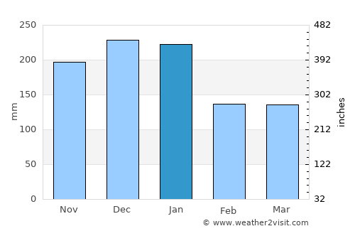 Guaçuí average rain in January