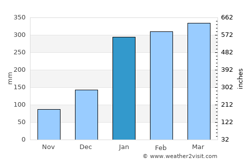 Guajará average rain in January