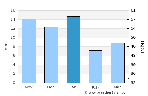 Guanajuato average rain in January