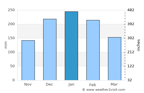 Guapiaçu average rain in January