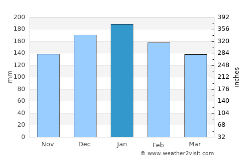 Guarapuava average rain in January