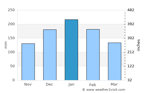 Guararapes average rain in January