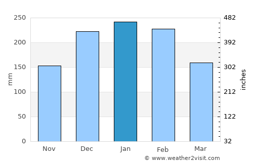 Guariba average rain in January