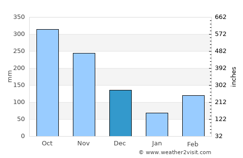 Guayabal average rain in December