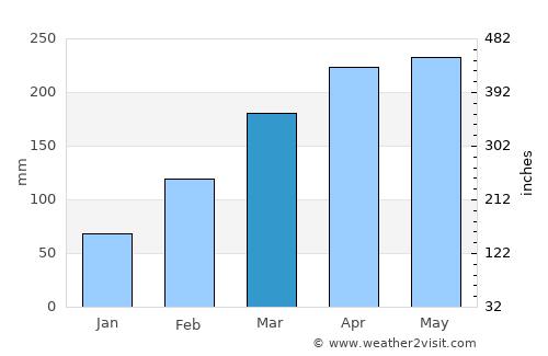 Guayabal average rain in March