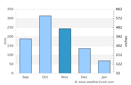 Guayabal average rain in November