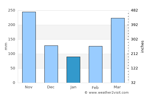 Guayabetal average rain in January