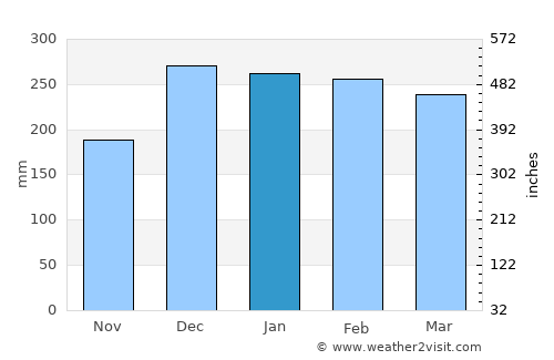Guayaramerín average rain in January