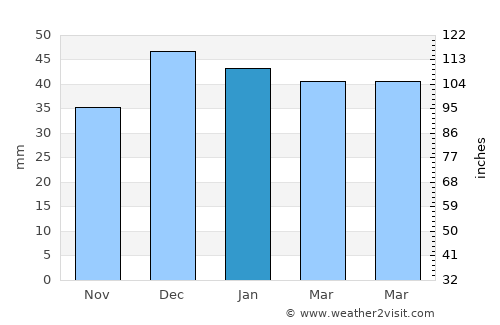 Gülşehir average rain in January