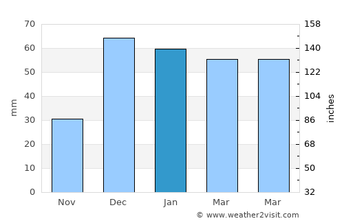 Güneren average rain in January