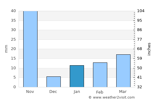 Gunupur average rain in January