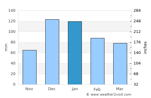 Hadım average rain in January