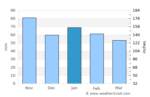 Hallettsville average rain in January