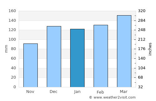 Hamilton average rain in January