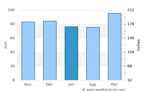 Hamlin average rain in January