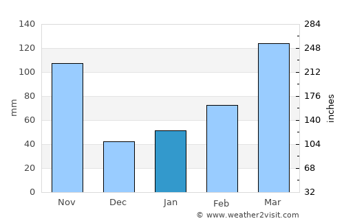 Hashimoto average rain in January