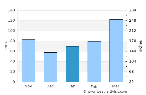 Hatsukaichi average rain in January