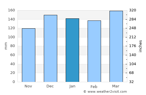 Hattiesburg average rain in January