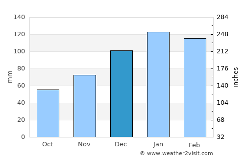 Hawkinsville average rain in December