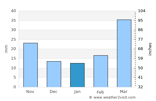 Hayti average rain in January