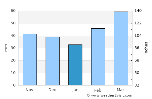 Henrietta average rain in January