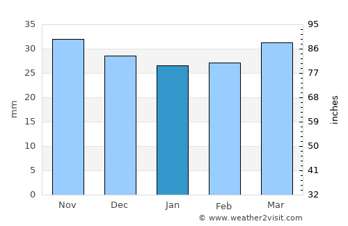 Hermanus average rain in January