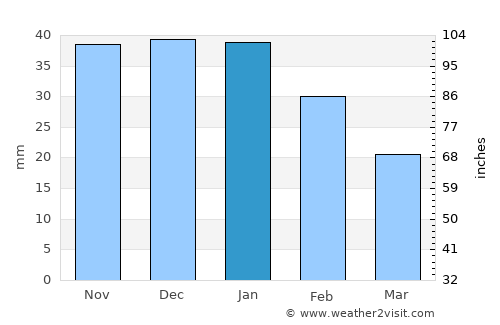 Heroica Matamoros average rain in January