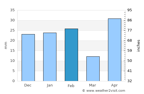 Hidalgo average rain in February
