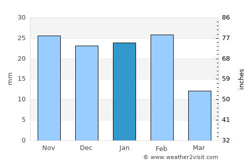 Hidalgo average rain in January