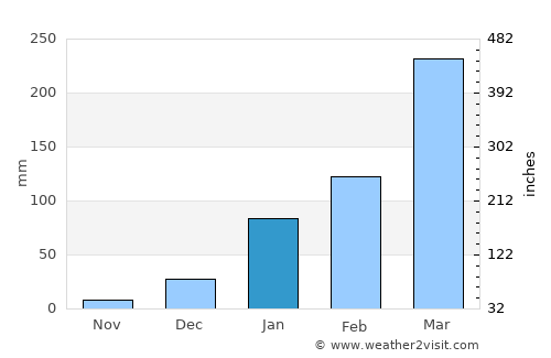 Hidrolândia average rain in January