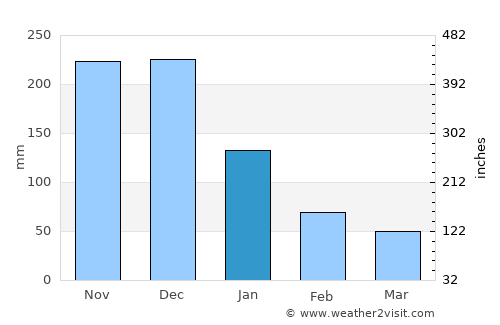 Higuerote average rain in January